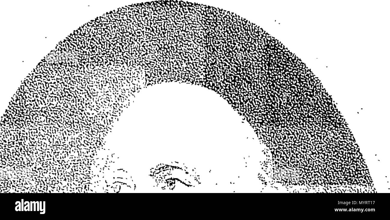 . Anglais : fleuron de livre : un rapport impartial des débats qui ont lieu dans les deux chambres du Parlement, ... Mardi, le 30 décembre 1794. Avec un peu de compte des intervenants respectifs, et notamment des copies de tous les documents d'état, les traités, conventions, &c. Par William Woodfall, et d'assistants. ... 345 Un rapport impartial des débats qui ont lieu dans les deux chambres du Parlement, - le mardi 30 décembre 1794 Le Fleuron N068855-1 Banque D'Images