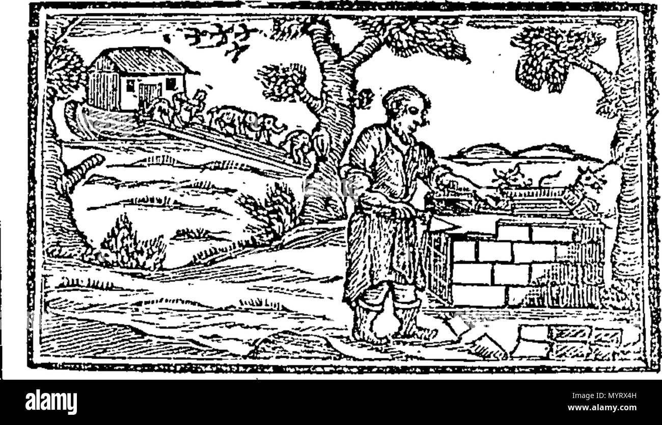 . Anglais : Fleuron du livre : Une introduction à l'orthographe et la lecture. Contenant des leçons pour les enfants ; historique et pratique orné de sculptures. En collaboration avec le chef de règles pour l'orthographe, et de diviser les mots en syllabes. Conçu pour leur apprendre à bien lire et distinctement dans un plus court. Le temps que d'habitude. À laquelle sont ajoutés les prières, recueille, &c. Par le pasteur Francis Fox, M. A. Rector de lecture à Berks. 349 Une introduction à l'orthographe et la lecture Fleuron T062659-3 Banque D'Images