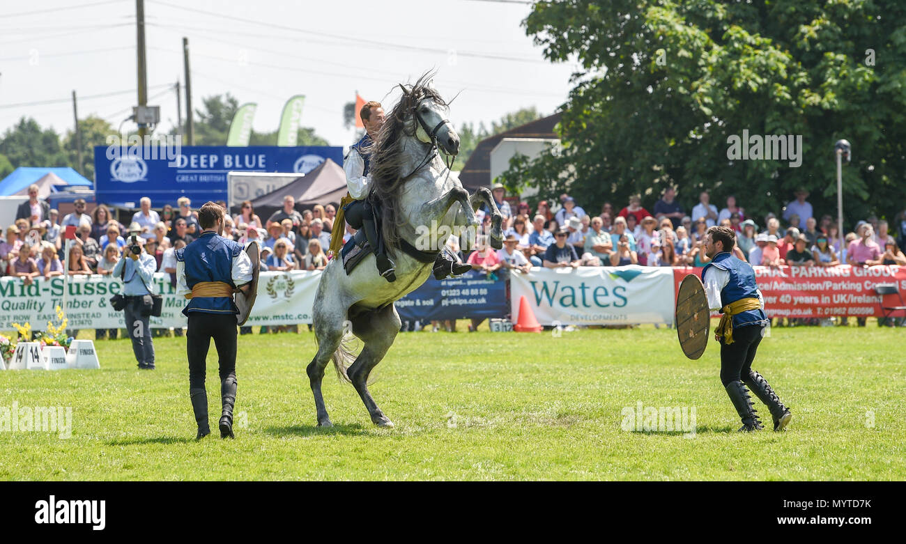 Ardingly Sussex UK 8 Juin 2018 - Les membres de l'Atkinson célèbre pour les chevaux d'action figurant dans Poldark et pointu des oeillères au sud de l'Angleterre montrent dans de beaux temps ensoleillé tenue à l'Ardingly Showground près de Haywards Heath Sussex Crédit : Simon Dack/Alamy Live News Banque D'Images