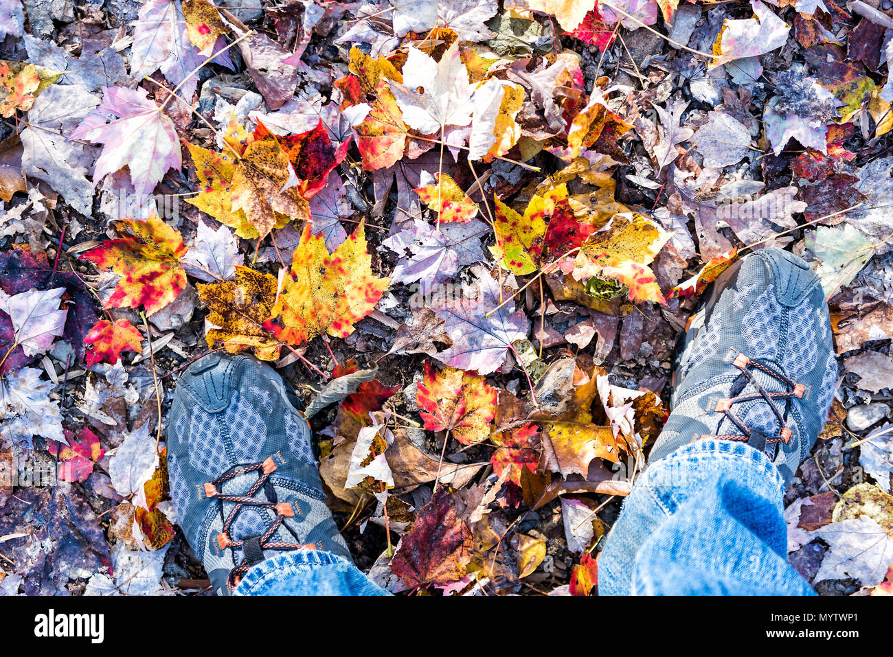 Fallen brun automne, orange, rouge, beaucoup de feuilles d'or sur le sol avec les pieds à plat chaussures homme jeter haut Vue vers le bas dans le Harper's Ferry, West Virginia Banque D'Images
