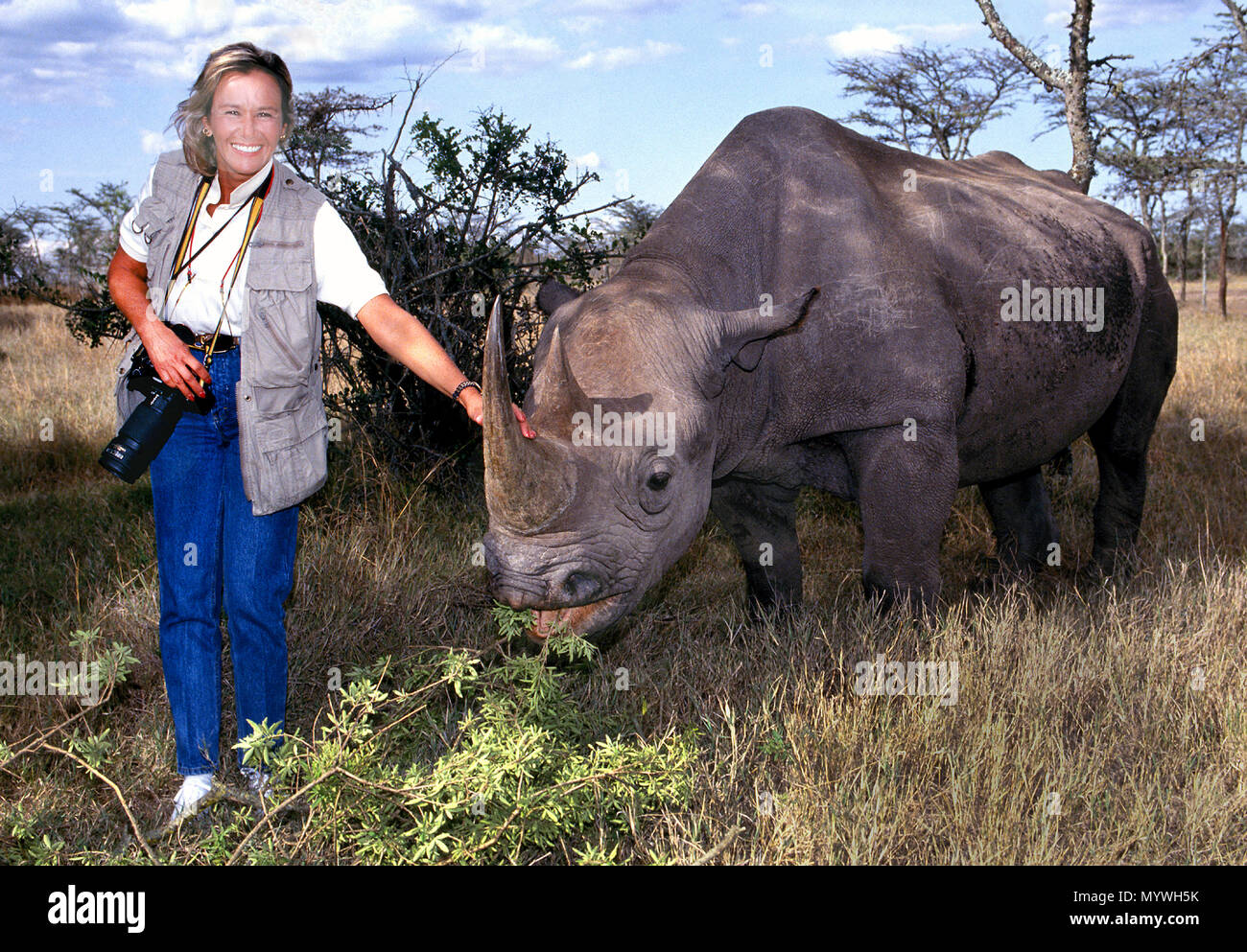 Une femelle sur tourisme en 1992 safari pose avec Morani, apprivoiser un rhinocéros noir soulevé par le personnel de l'Sweetwaters Game Reserve qui est maintenant l'Ol Pejeta Conservancy au Kenya, Afrique de l'Est. Le célèbre sanctuaire abrite 111 noir et blanc 23 rhinocéros, y compris les deux derniers rhinocéros blancs du nord sur la terre. Morani a été parmi les premiers rhinocéros à portée à l'abri et a passé 19 ans de sa vie comme Ol Pejeta ambassadeur canadien pour les espèces en danger jusqu'à sa mort de causes naturelles en 2008. Banque D'Images