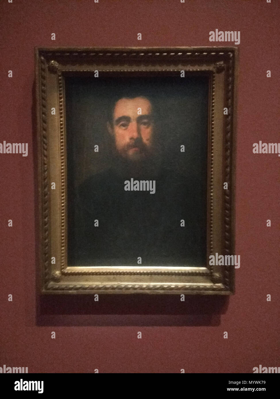 . English : Huile sur bois, 1546 . 25 mars 2018, 16:46:21. Tintoret 84 Portrait d'un homme de 39 ans-3 Banque D'Images