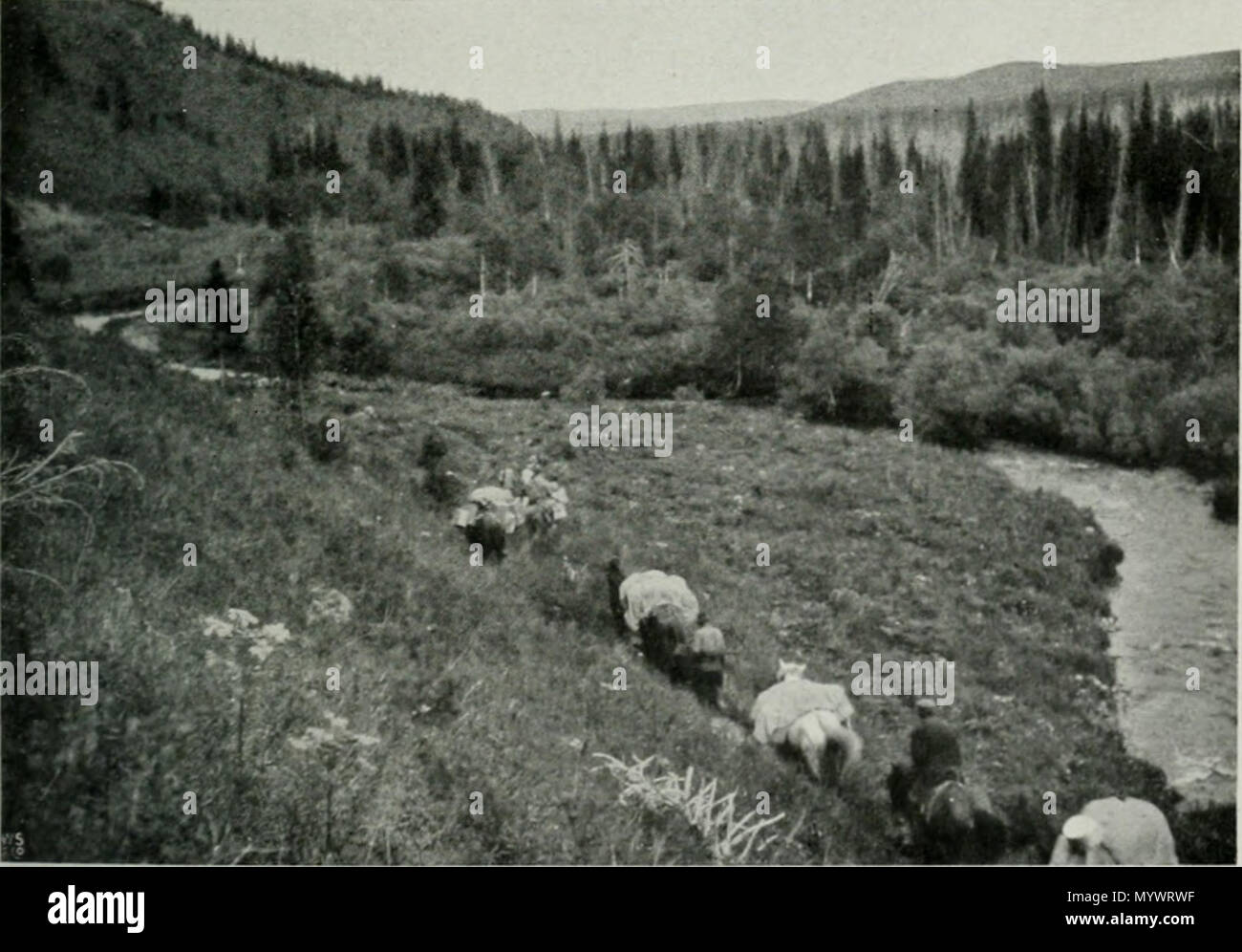 . Deutsch : Impressionen und Ansichten, aufgenommen während der norwegischen nach Expeditionsreise Sibirien, im Sommer 1914 . Jusqu'Jeneseis Sibirieskspeditions kilder ; Den Norske reise, 1914 . 1914(1915) 4 OLSEN Norske Sibirieskspeditions reise, 1914 - 34 Pict (14782650944) Banque D'Images