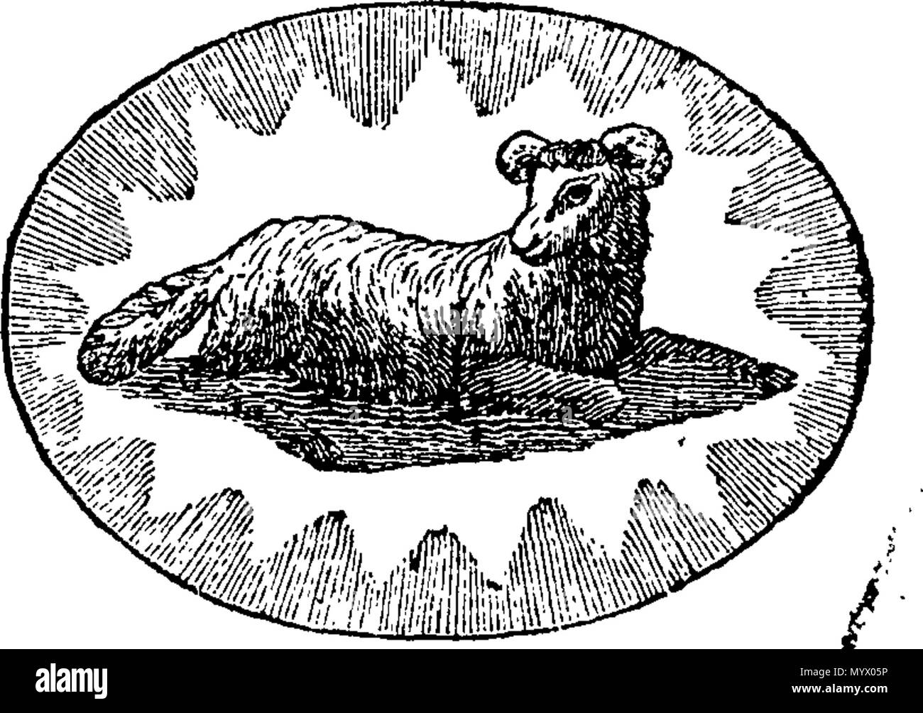 . Anglais : Fleuron du livre : l'astrologie d'Arcandam, ou Livre de la Destinée. Qui fais la méthode de calcul de chaque personne de nativité, -leurs dons naturels et dispositions, l'autorité principale de la vie, Incidents-Mariages,-bon ou mauvais succès,-la chance Point, la chance et la malchance de jours, de la mort, &c. &C. Assez déduit de l'influence des planètes et des étoiles. Avec l'ajout d'phisiognomy. L'Illustre et ornés de coupes élégantes des douze signes du zodiaque, et les représentations des différentes formes sous lesquelles les étoiles elles se composent d'sont éliminés. Traduit de l'anglais de J. Fr. Neveau, comme Banque D'Images