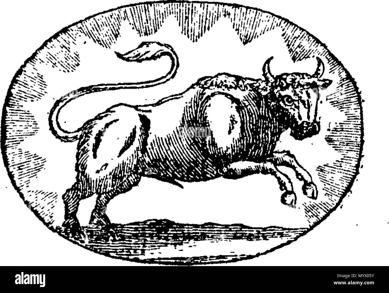 . Anglais : Fleuron du livre : l'astrologie d'Arcandam, ou Livre de la Destinée. Qui fais la méthode de calcul de chaque personne de nativité, -leurs dons naturels et dispositions, l'autorité principale de la vie, Incidents-Mariages,-bon ou mauvais succès,-la chance Point, la chance et la malchance de jours, de la mort, &c. &C. Assez déduit de l'influence des planètes et des étoiles. Avec l'ajout d'phisiognomy. L'Illustre et ornés de coupes élégantes des douze signes du zodiaque, et les représentations des différentes formes sous lesquelles les étoiles elles se composent d'sont éliminés. Traduit de l'anglais de J. Fr. Neveau, comme Banque D'Images