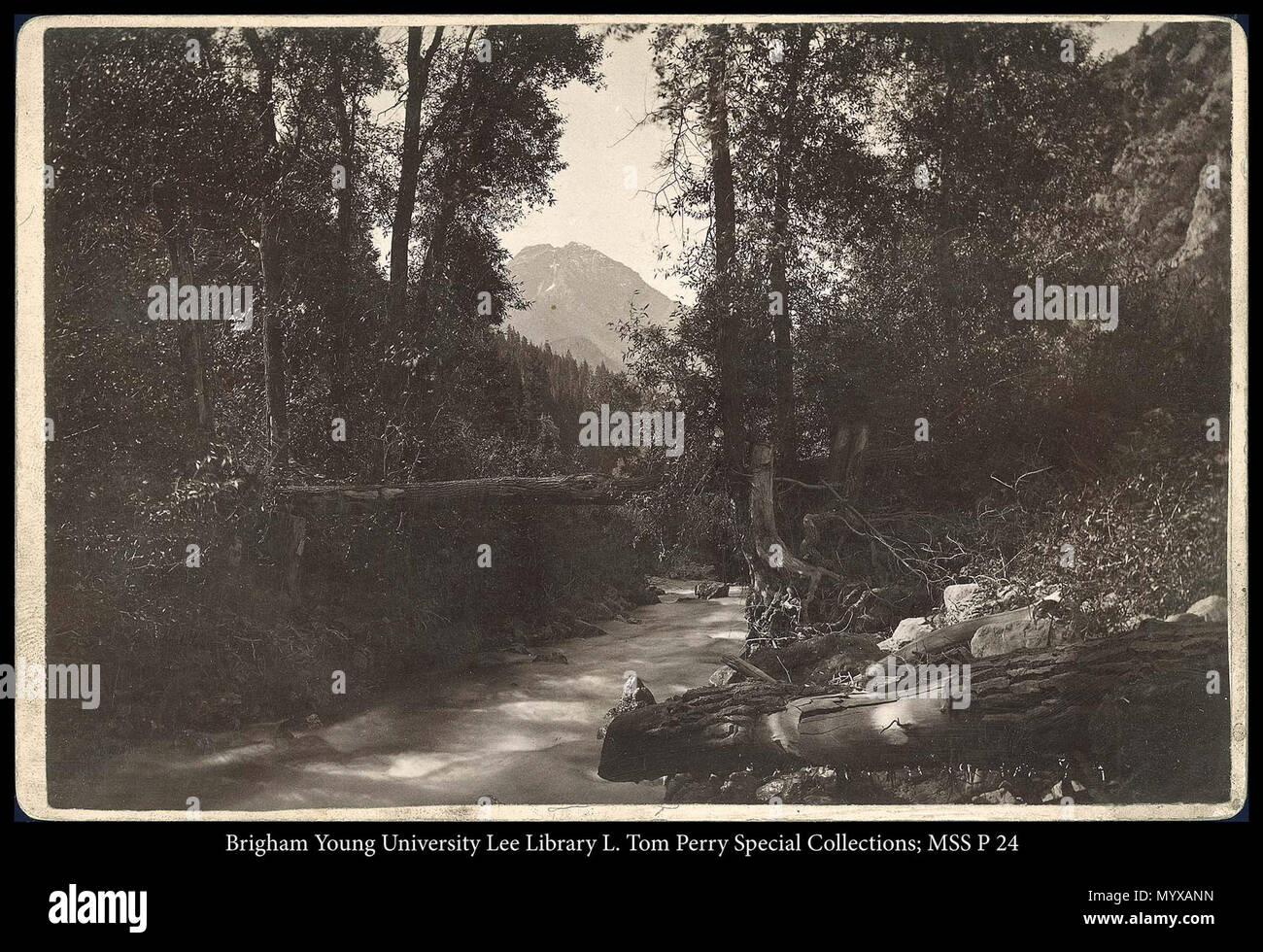 N° d'appel : MSS P24 Dossier Encadré 2 14 . Ruisseau boisé. Entre vers 1875 et vers 1890 2319 MSS P 24 B2 F14 Banque D'Images