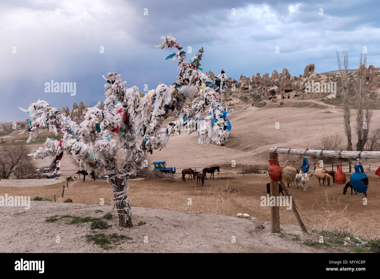 Arbre des désirs à Göreme à la Cappadoce. Province Nevsehir, Turquie Banque D'Images