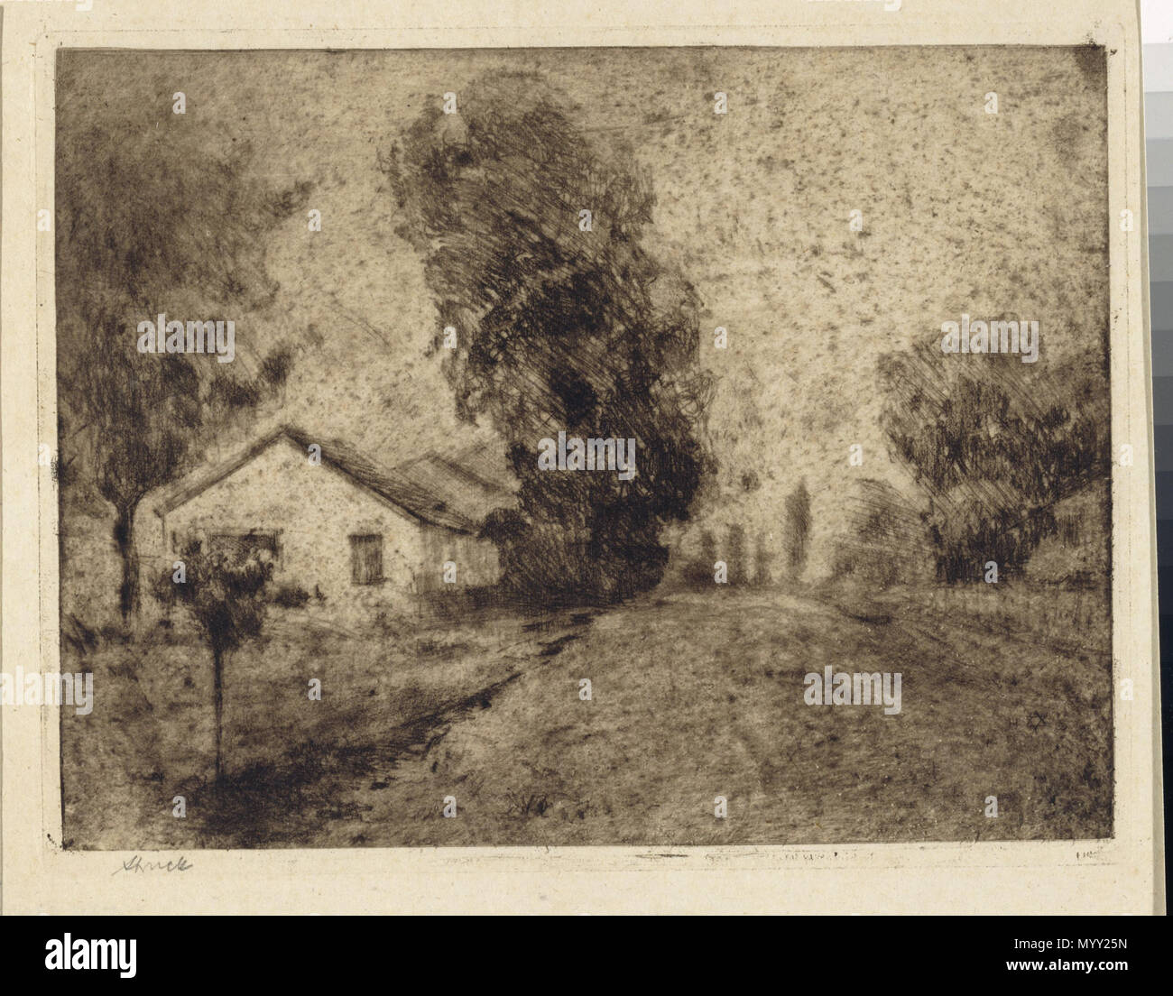 . Deutsch : Palmenallee dans Rischon le Zion. Aus der Mappe "Israël" ? ? ? ? ? ? ? ? ? ?  ? ? ? ? ? . 1903 ? ? ? ? ? : 1903 Hermann 47 Grafik frappé JMBerlin GDR 973 1011 Banque D'Images