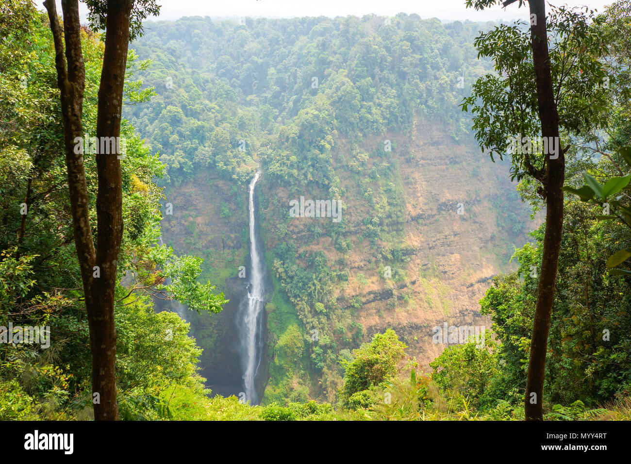 Cascade à partir de la ligne de streaming haute montagne au Laos Banque D'Images