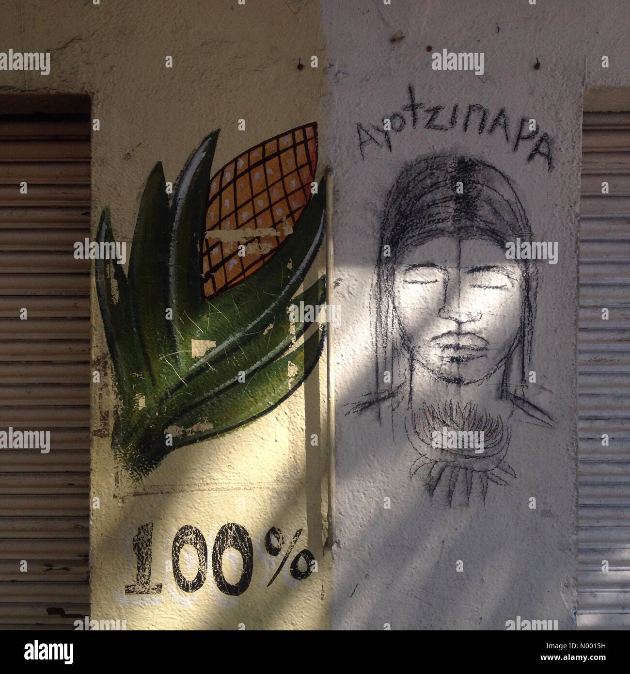 Mérida 132, Cuauhtémoc, Ciudad de México, Distrito Federal, le Mexique. 23 Jan, 2015. Tiges de maïs un et un portrait d'un étudiant décorer un mur dans la ville de Mexico dans le cadre d'une manifestation exigeant la justice pour les 43 étudiants de Ayotzinapa manquant, l'État de Guerrero. Credit : Chico Sanchez/StockimoNews/Alamy Live News Banque D'Images