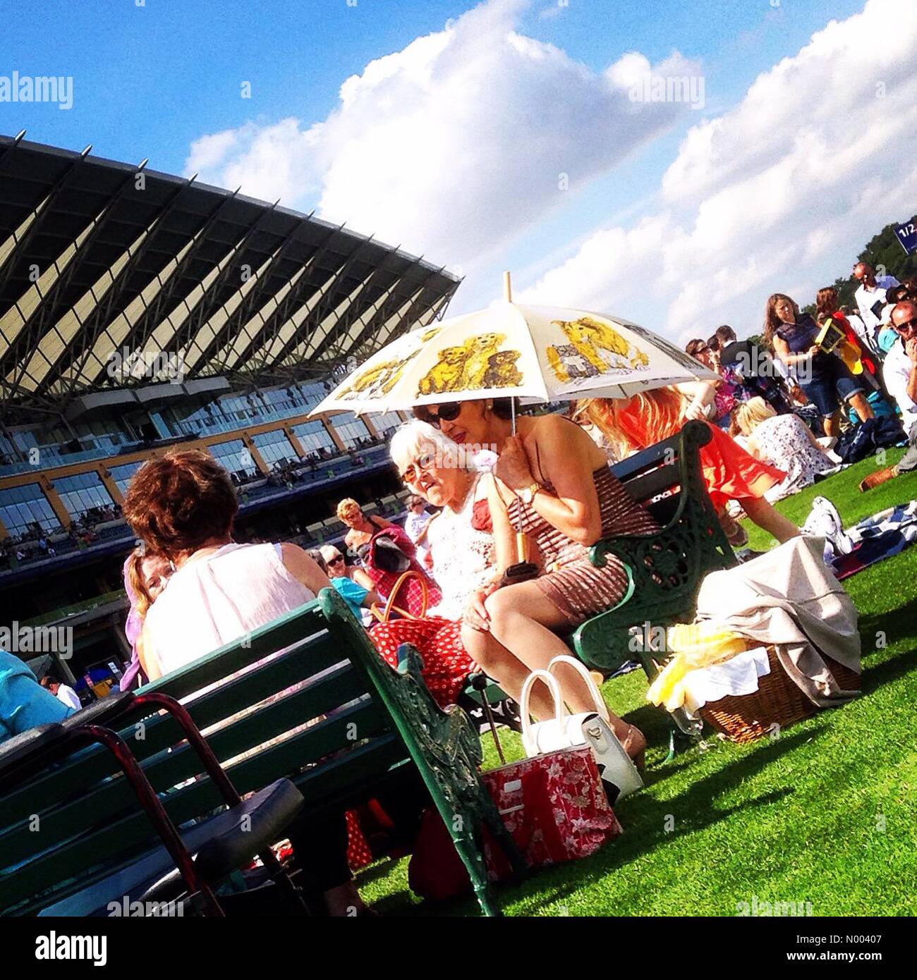 Ascot, Berkshire, Royaume-Uni. 8e août, 2015. Météo France : Shergar Cup, l'Ascot Race Course, 8 août 2015 : Crédit / StockimoNews Sigalit Kirkpatrick/Alamy Live News Banque D'Images