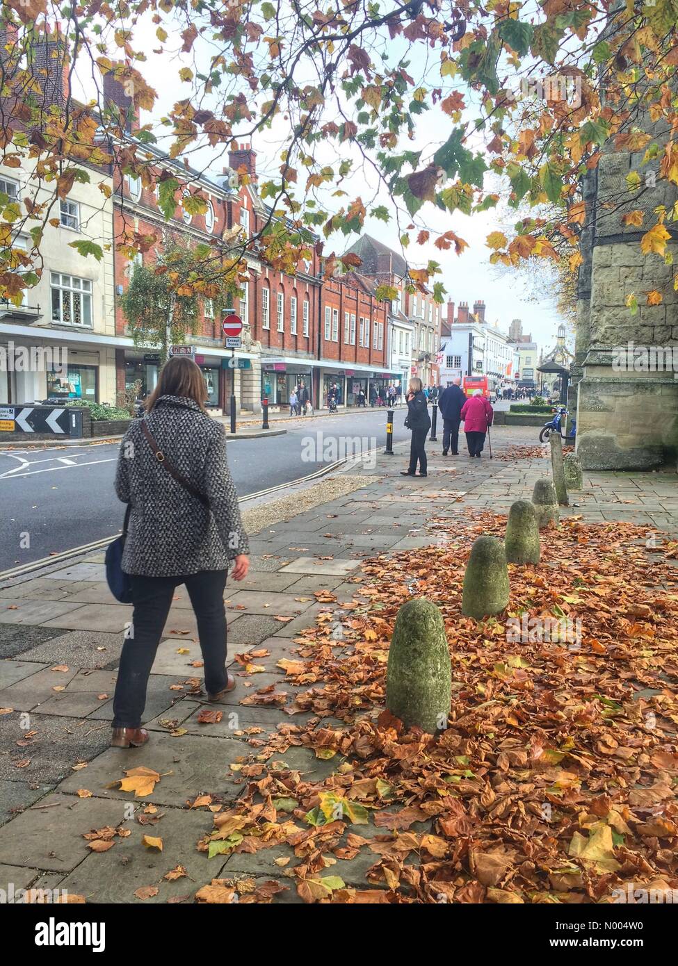 Météo France, le samedi 31/10/2015. Avec les feuilles tombées sur le sol de Chichester dans le West Sussex, elle donne une impression d'automne à l'Halloween. Banque D'Images