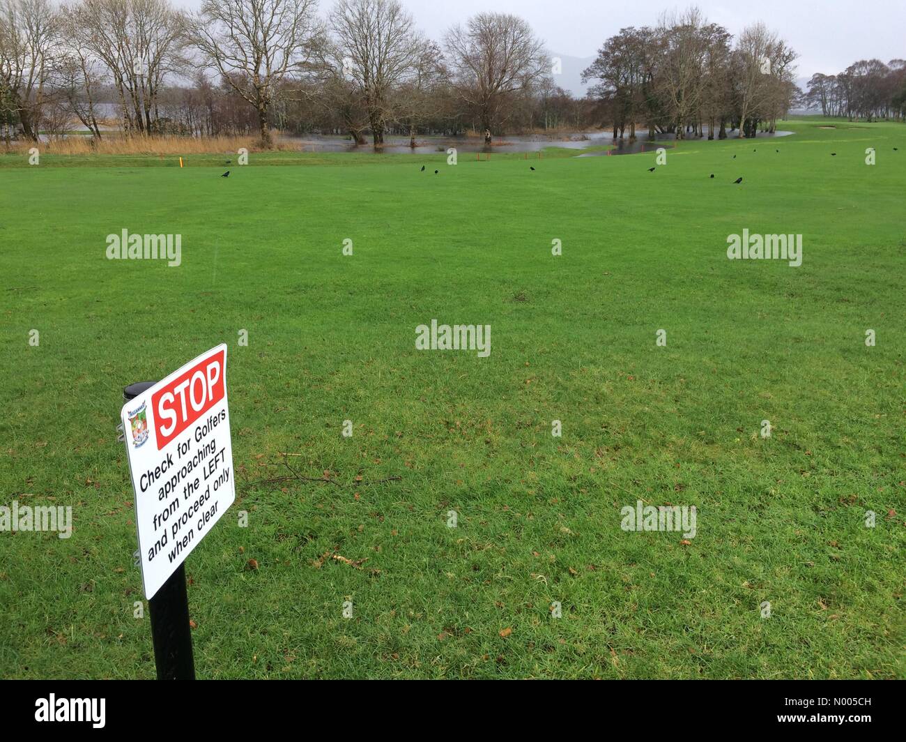 Killarney,Irlande,24 décembre 2015.les fortes pluies récemment et le Lough Leane niveau d'eau élevé inhabituel cause des dommages invisibles à un terrain de golf local. Banque D'Images