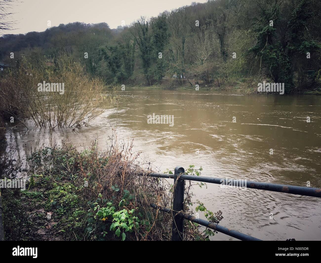 Rivière Severn Ironbridge très élevé avec le Shropshire sentier inondé Décembre 2015 Banque D'Images