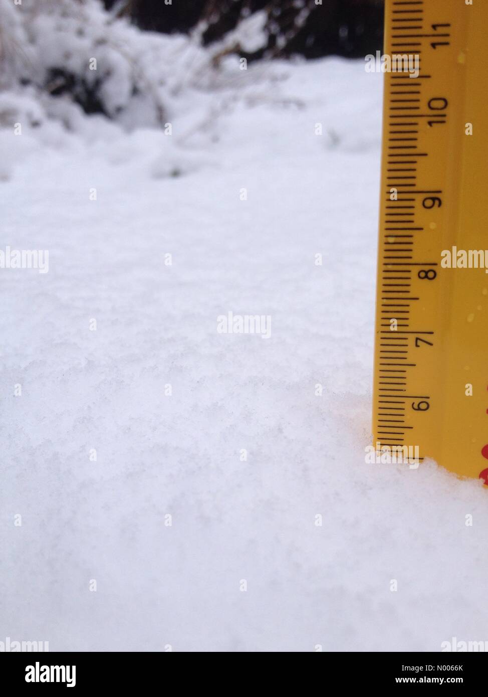 Météo France- 5cm de neige tombent pendant la nuit à Morley près de Leeds. Prise sur le 4 mars 2016. Banque D'Images