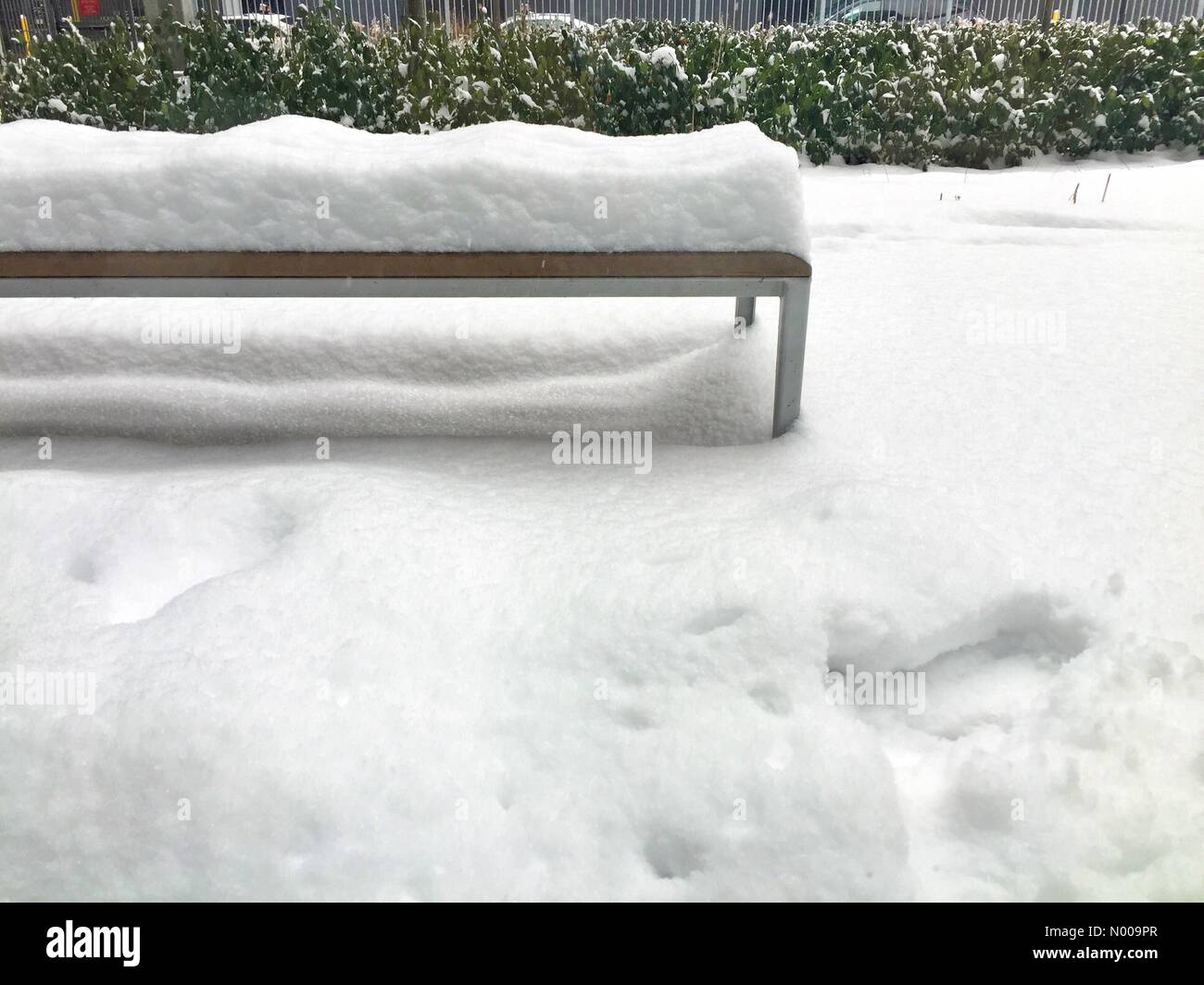 Montréal, Québec, Canada. Dec 12, 2016. Montréal, QC, Canada. 12 décembre 2016. Un système de basse pression provenant des Grands Lacs vous donnera entre 10 et 15 cm de neige avec des montants supérieurs à 15 cm dans le sud et le Centre du Québec aujourd'hui. Credit : Ali Alshammasi StockimoNews //Alamy Live News Banque D'Images