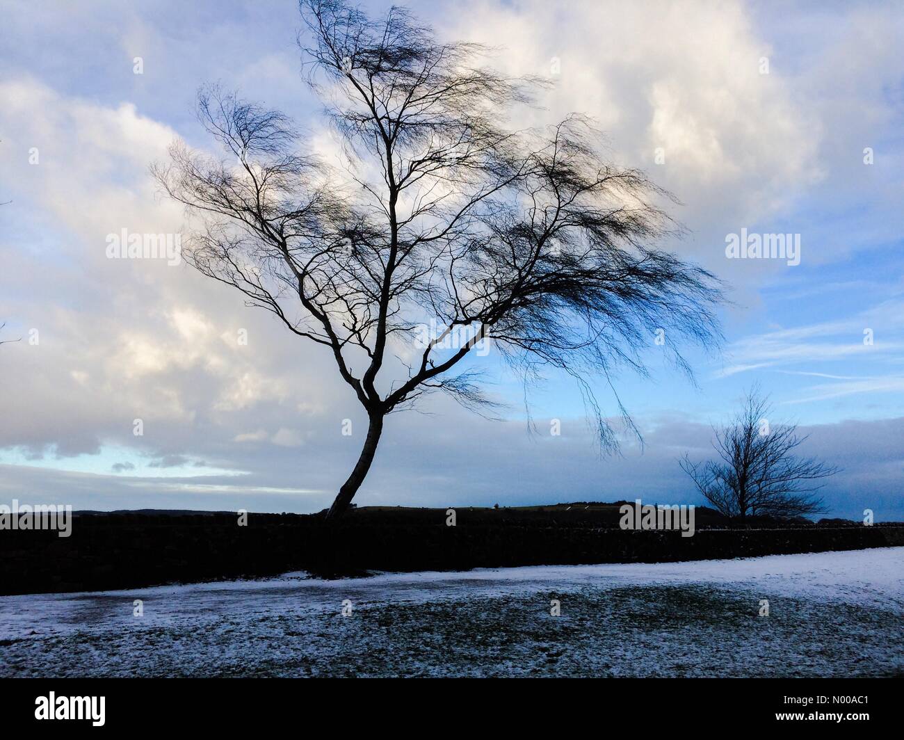 Matlock, au Royaume-Uni. 13 Jan, 2017. Météo France Vendredi 13 Janvier 2017 - La neige sur le sentier de High Peak Derbyshire Peak District De Cromford UK. La prévision est pour de plus amples mais lumineux météo. © Robert Morris/StockimoNews/Alamy Live News Banque D'Images