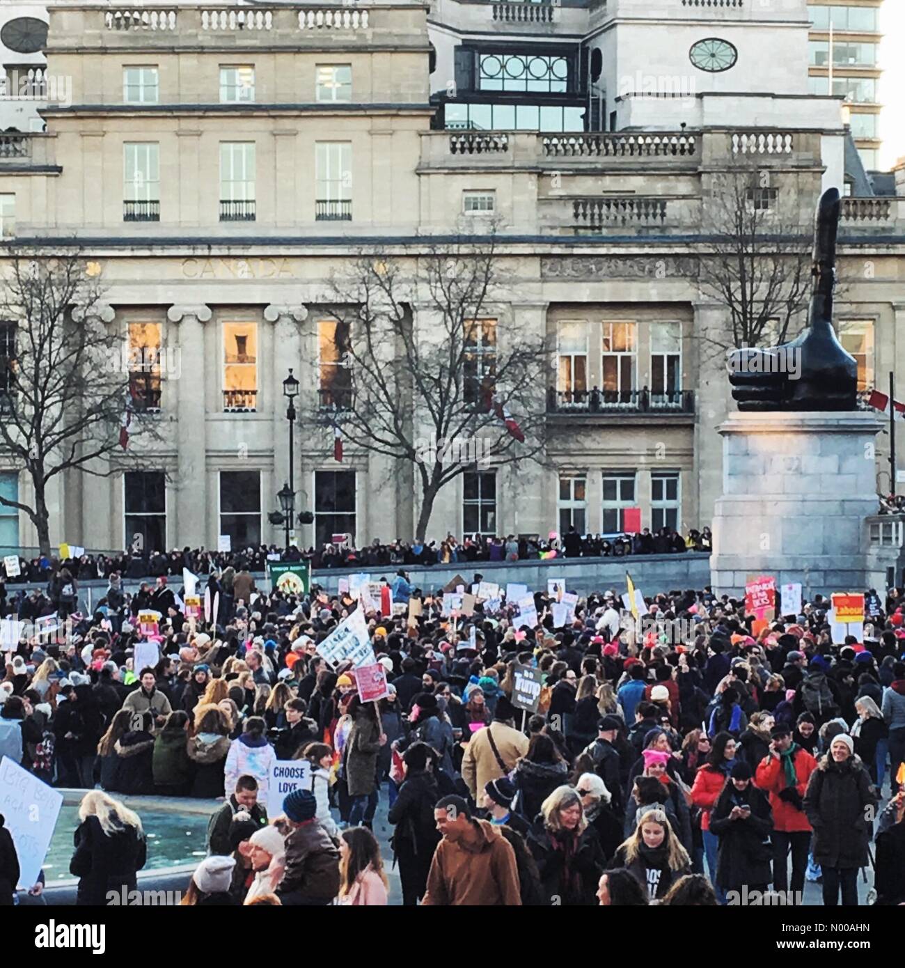 Londres, Royaume-Uni. 21 janvier, 2017. La Marche des femmes sur London Crédit : Jayne Lloyd / StockimoNews/Alamy Live News Banque D'Images