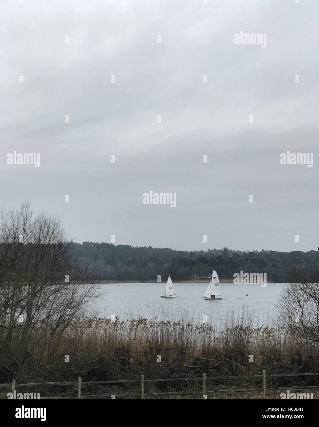 Farnham, Royaume-Uni. 14Th Feb 2017. UK : Météo Ciel dégagé dans Frensham. Frensham Pond, Frensham. 14Th Feb 2017. Sec mais couvert sur la Home Counties aujourd'hui. Frensham Great Pond, Surrey. /StockimoNews jamesjagger : Crédit/Alamy Live News Banque D'Images