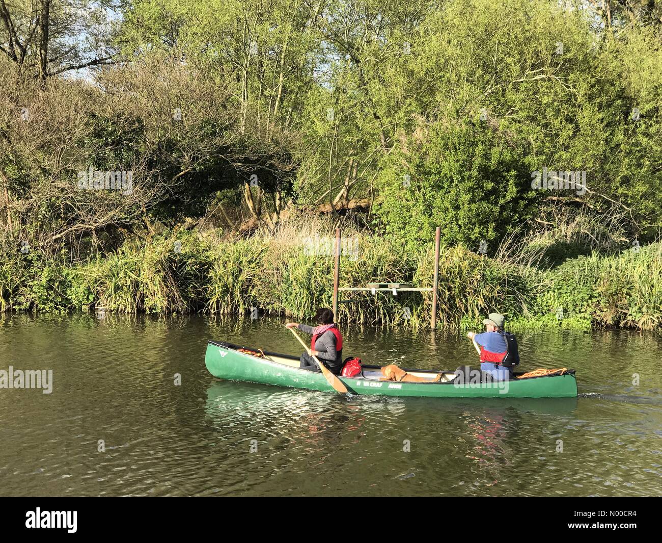 Shalford, Guildford, Royaume-Uni. Apr 15, 2017. UK Météo : ensoleillé, à intervalles réguliers, par Guildford. Broadford Rd, Guildford. 15 avril 2017. Temps nuageux sur le Home Counties a donné aujourd'hui moyen de périodes ensoleillées. La rivière Wey dans Shalford. /StockimoNews jamesjagger : Crédit/Alamy Live News Banque D'Images