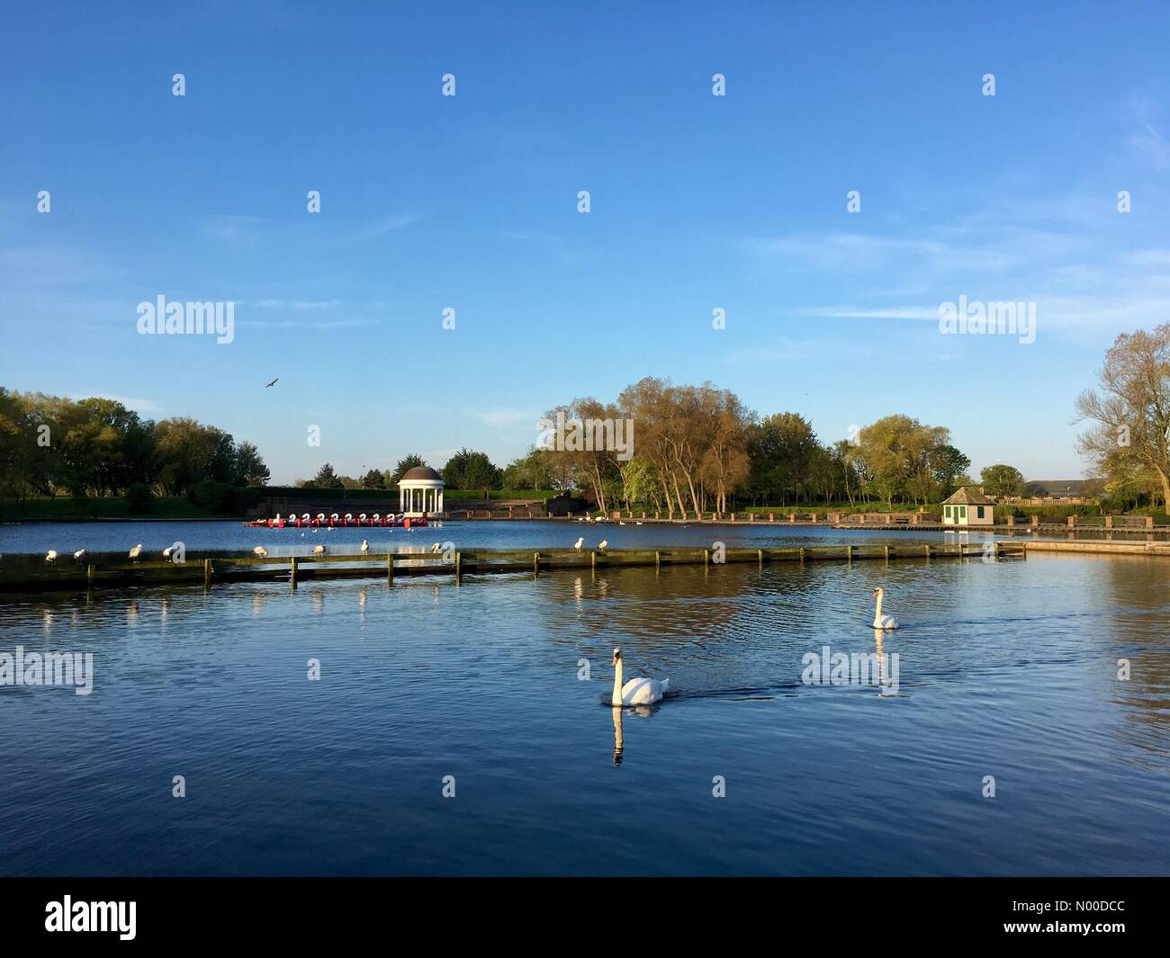 UK Météo : ensoleillé matin à Blackpool. Tôt le matin, ciel bleu clair promet une belle journée dans le parc Stanley, Blackpool Banque D'Images UK Météo : ensoleillé matin à Blackpool. Tôt le matin, ciel bleu clair promet une belle journée dans le parc Stanley, Blackpool Banque D'Images