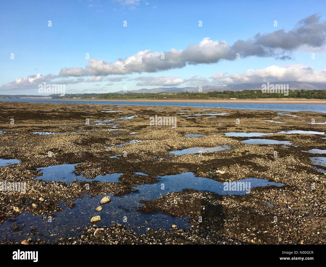 Anglesey, au Royaume-Uni. 23 août, 2017. UK Météo : ensoleillé après-midi et soir sur Anglesey. Voir plus d'Anglesey Caernarfon vers plus de Détroit de Menai à marée basse montrant moulières. Credit : Lancashire Images/StockimoNews/Alamy Live News Banque D'Images Anglesey, au Royaume-Uni. 23 août, 2017. UK Météo : ensoleillé après-midi et soir sur Anglesey. Voir plus d'Anglesey Caernarfon vers plus de Détroit de Menai à marée basse montrant moulières. Credit : Lancashire Images/StockimoNews/Alamy Live News Banque D'Images
