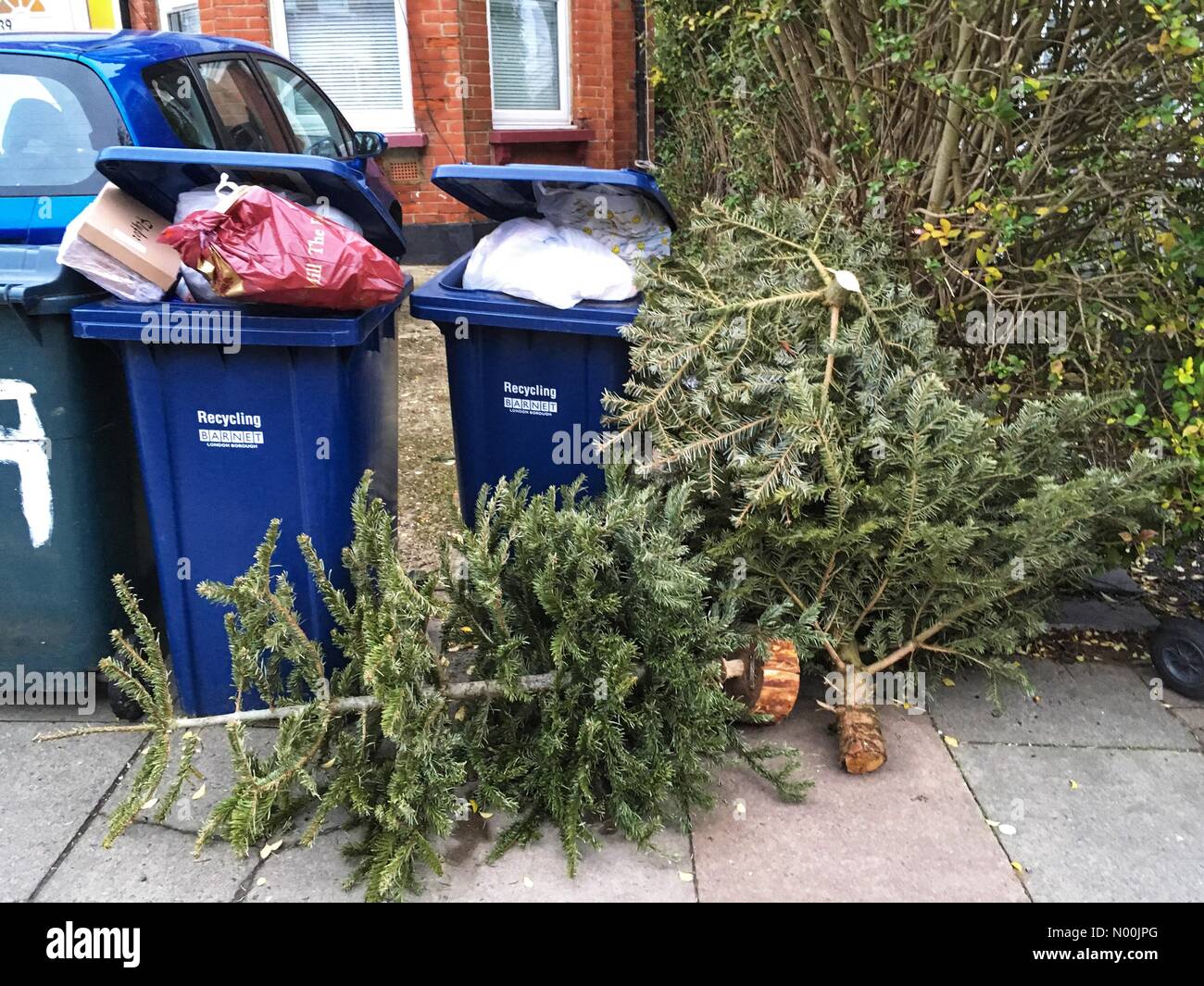 Londres, Royaume-Uni. 8 janvier, 2018. Londres, Royaume-Uni. 8 janvier, 2018. Arbres de Noël à l'extérieur d'une chambre du West End à Londres 2 jours après l'épiphanie, le 8 janvier 2018 Credit : Louisa/StockimoNews Cook/Alamy Live News Crédit : Louisa Cook/StockimoNews/Alamy Live News Banque D'Images