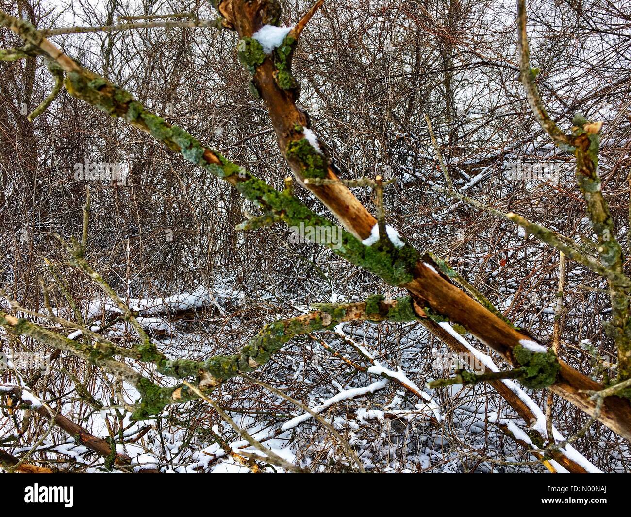 Tempête de printemps dans le Wisconsin, le 15 avril 2018, la neige et la glace de l'automne dans une tempête de neige printanière freak dans le Wisconsin, touchant la nature, maisons et/DianaJ StockimoNews/Alamy Banque D'Images