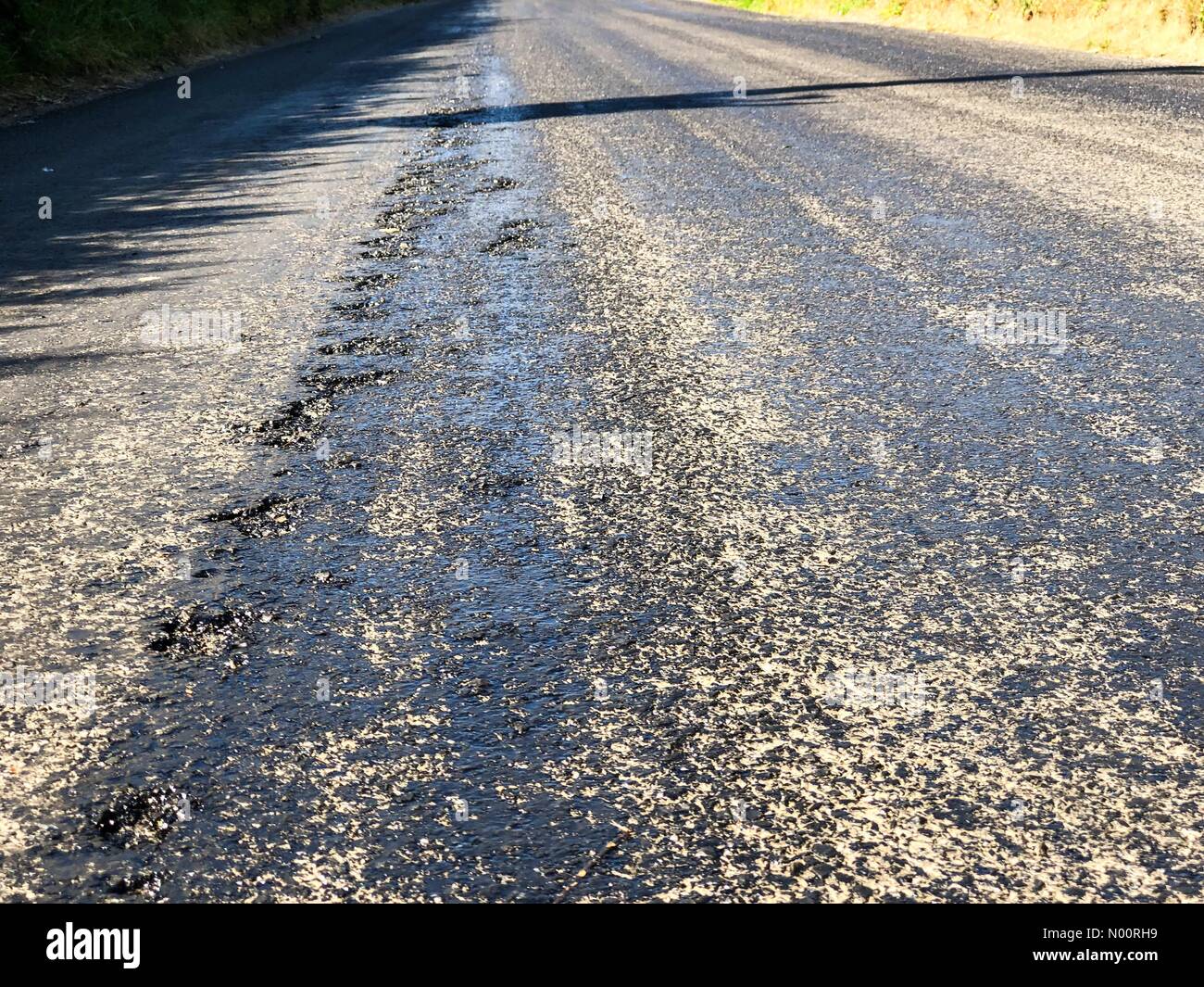 Godalming, UK. 26 Juin, 2018. Météo France : route de fusion à Godalming. Tuesley Lane, Godalming. 26 juin 2018. Des températures élevées dans le sud-est aujourd'hui. Les routes ont commencé à fondre dans la chaleur à Godalming, Surrey. /StockimoNews jamesjagger : Crédit/Alamy Live News Banque D'Images