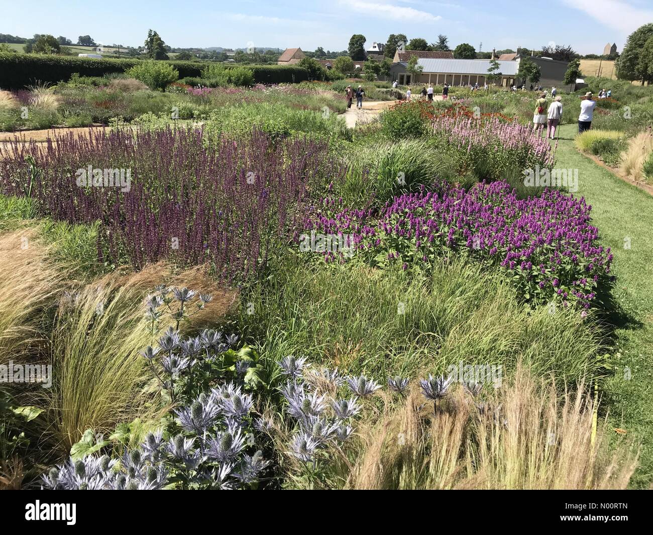Le Somerset, Royaume-Uni, le 30 juin 2018. Météo France : la canicule se poursuit alors que les gens apprécient le soleil torride dans le magnifique domaine Oudolf, conçu par Piet Oudolf, Hauser & Wirth, Bruton, Somerset, England Crédit : Josie Elias/StockimoNews/Alamy Live News Banque D'Images