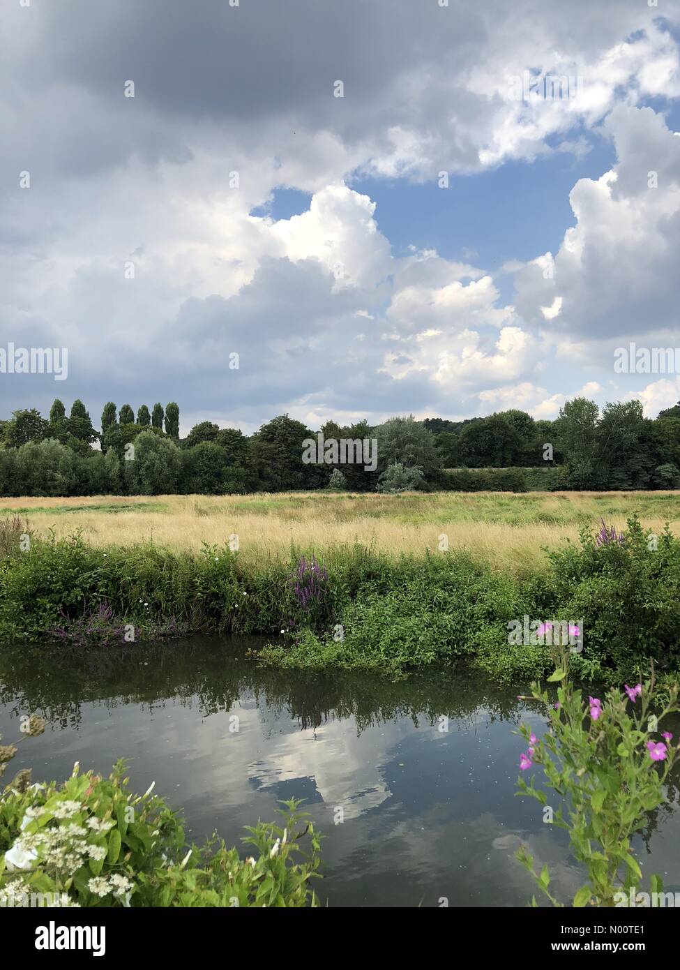 Météo France : périodes ensoleillées à Godalming. L'Burys, Godalming. 13 juillet 2018. La hausse des températures cet après-midi à travers les Home Counties avec orages imminente. Cloud bâtiment à Godalming. /StockimoNews jamesjagger : Crédit/Alamy Live News Banque D'Images