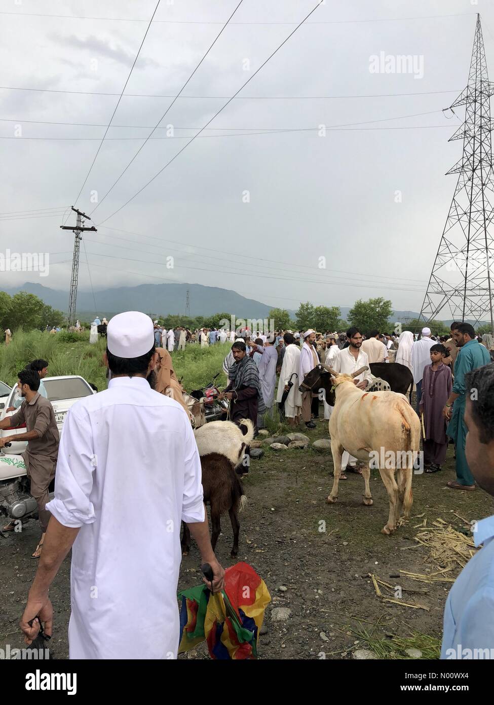 Haripur, Khyber Pakhtunkhwa, au Pakistan. Août 21, 2018. Dernier jour d'acheter un animal à sacrifier sur l'Eid ul Adha Crédit : Mava Fahd/StockimoNews/Alamy Live News Banque D'Images