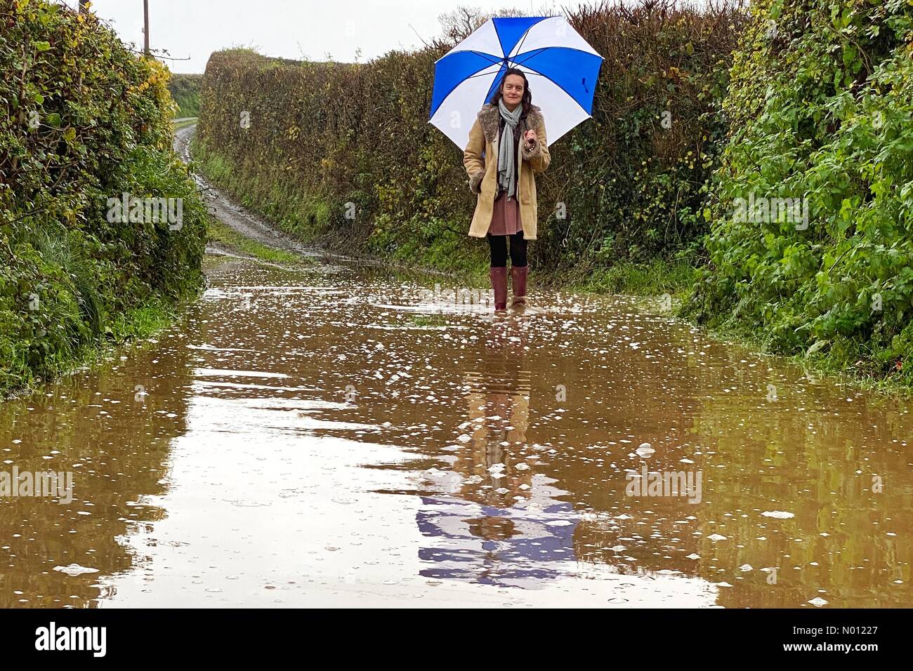Dunsford, Devon. 23 Nov 2019. Météo France : inondations dans les ruelles à Dunsford. Raich Keene brave les éléments sur une matinée de marche. /StockimoNews nidpor : Crédit/Alamy Live News Banque D'Images