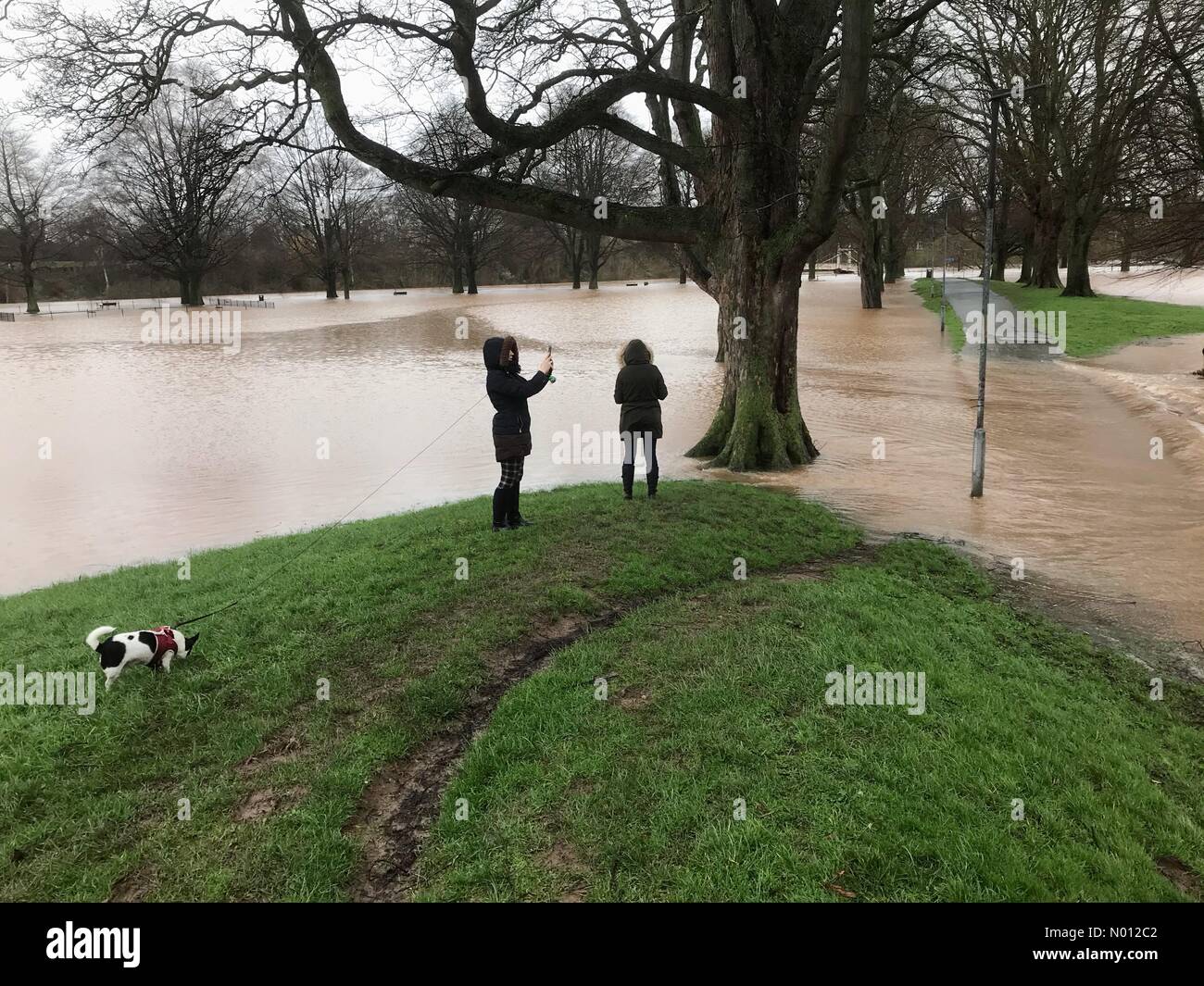 Herefordshire, Royaume-Uni Dimanche 16 février 2020 la rivière Wye inonde dans le King George's Park Credit: Steven May/StockimoNews/Alay Live News Banque D'Images