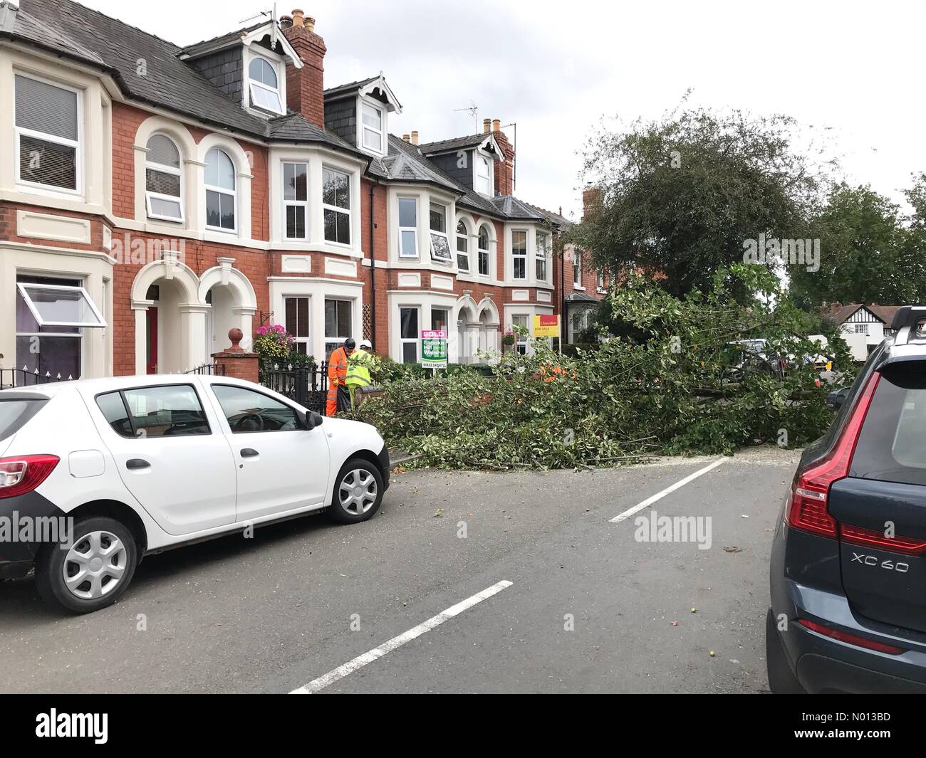 Hereford, Herefordshire. 25 août 2020. Météo au Royaume-Uni - tempête Francis Hereford - Hereford Royaume-Uni Mardi 25 août 2020 - les Workmen débarrassent un arbre tombé à Hereford comme de forts vents de la tempête Francis battent l'ouest du Royaume-Uni. Crédit : Steven May/StockimoNews/Alamy Live News Banque D'Images