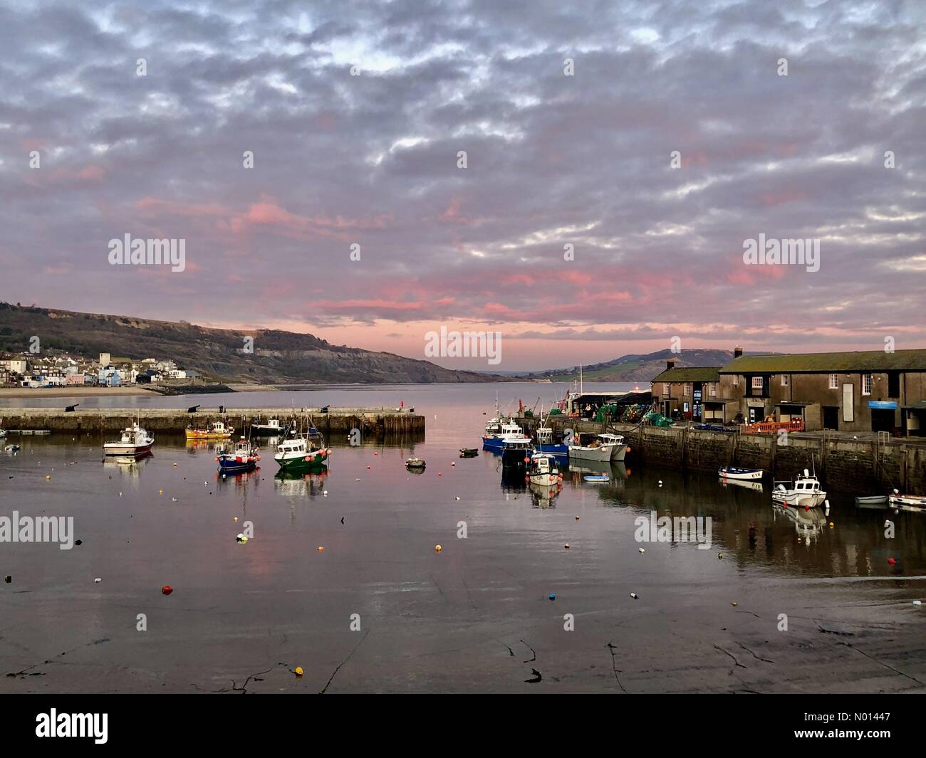 Lyme Regis, Dorset, Royaume-Uni. 7 janvier 2021. Météo au Royaume-Uni : les nuages au-dessus du port de Cobb brillent en rose tandis que le soleil de la fin de l'après-midi se reflète au coucher du soleil à la fin d'une journée froide de janvier. Crédit : Celia McMahon/StockimoNews/Alamy Live News Banque D'Images