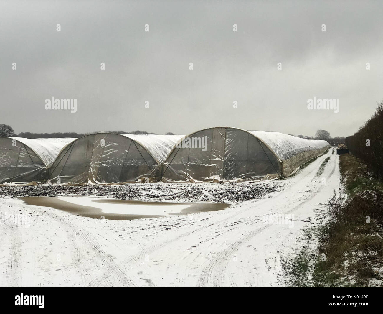 Godalming, Surrey. 9 février 2021 : poursuite des chutes de neige pour les comtés d'origine pendant la nuit. Neige de la tempête Darcy à Godalming dans Surrey. Crédit : jamesjagger/StockimoNews/Alay Live News Banque D'Images