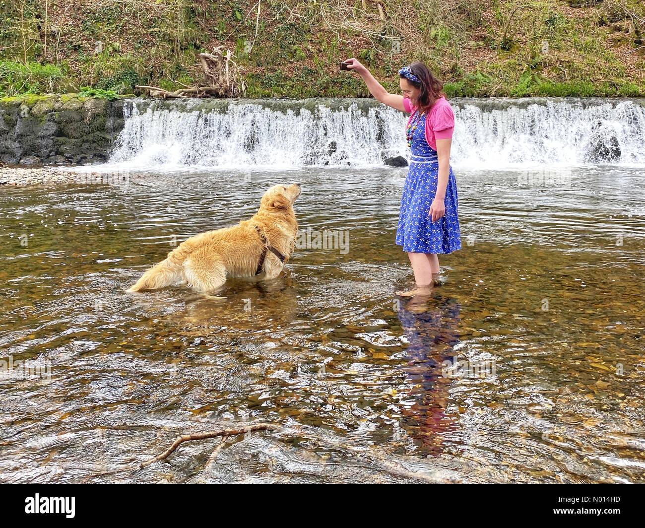 Rivière Teign, Teign Valley, Devon. 9 avril 2021. Météo au Royaume-Uni : jeu de paddle pour Raphael le Retriever et Raich Keene lors d'une journée chaude au weir, River Teign, Teign Valley, Devon crédit : nidpor/StockimoNews/Alay Live News Banque D'Images