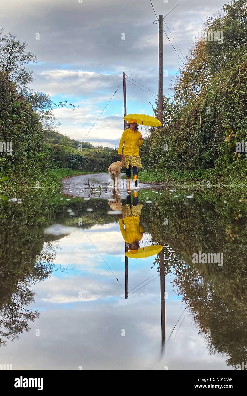 Météo au Royaume-Uni : chien marchant dans des voies inondées à Dunsford, Devon, Royaume-Uni.29 octobre 2021.Sur la photo, Raich Keene et Raphael The Retriever.Crédit Nidpor/Alamy Live News crédit: Nidpor/StockimoNews/Alamy Live News crédit: Nidpor/StockimoNews/Alamy Live News Banque D'Images