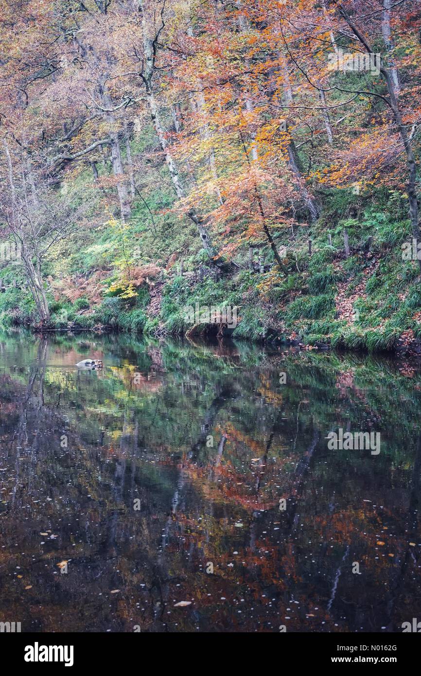 Météo au Royaume-Uni : couleurs vives de l'automne sur une rivière calme Teign près du pont Fingle dans la vallée Teign, Devon, Royaume-Uni.16 novembre 2021.Credit nidpor/ Alamy Live News Credit: Nidpor/StockimoNews/Alamy Live News Banque D'Images