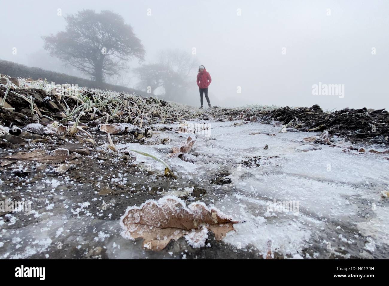 Météo au Royaume-Uni : Raich Keene s'est enveloppé de chaleur lors d'une promenade matinale glaciale à Dunsford à Devon, au Royaume-Uni. 11 décembre 2022. Credit nidpor/Alamy Live News Credit: Nidpor/StockimoNews/Alamy Live News Banque D'Images