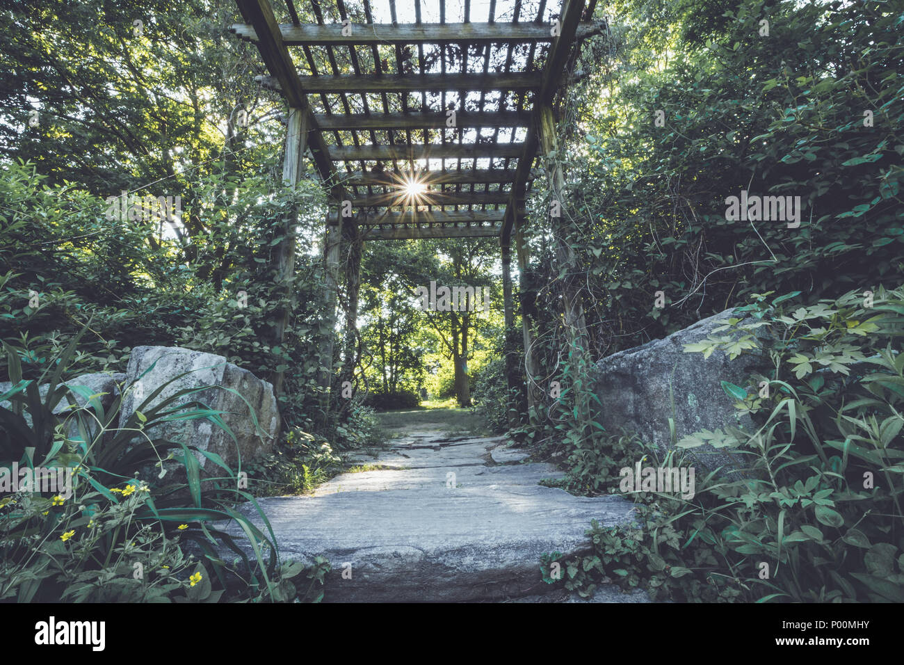 La solarisation par pergola à la fin du printemps à Ringwood State Park, NJ en réglage vintage Banque D'Images