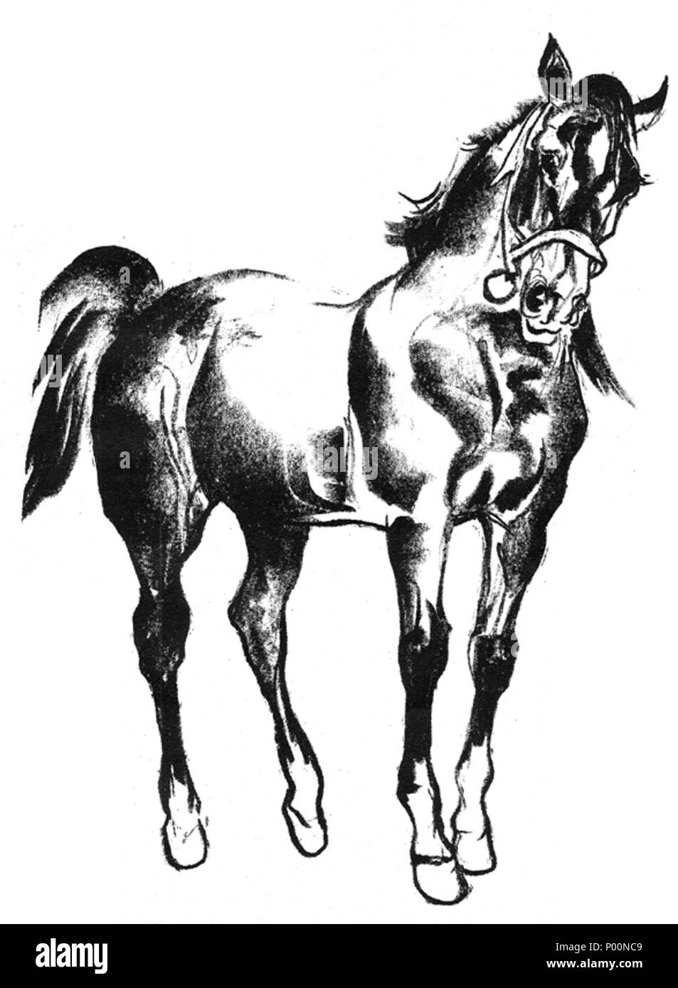 . Anglais : Autolithograph imprimé par Zakład art. litogr. Piller-Neumann 93 Sichulski Lwów05 Banque D'Images
