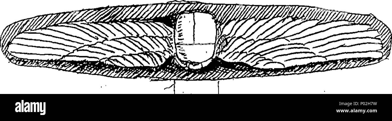 . Anglais : fleuron de livre : un catalogue de l'ensemble de la fin du musée précieux Matthieu Duane, F.R. & A.S. composé de grec, Punique, Romaine, phénicienne, et d'autres, des pièces de monnaie et médailles, en or, argent, et cuivre ; un très grand et superbe collection de gemmes antient ; comme aussi des statues, bustes, Lares, inscriptions, vases, lampes, Fibulas, et d'autres vestiges de l'antiquité ; avec sa collection de livres liés à des crédits et des antiquités. Partie I. contenant les pièces de monnaie et médailles : qui, par ordre de l'exécuteurs, seront vendus aux enchères, par M. Gerard, à sa maison, à Litchfield, Rue Sainte Anne Banque D'Images