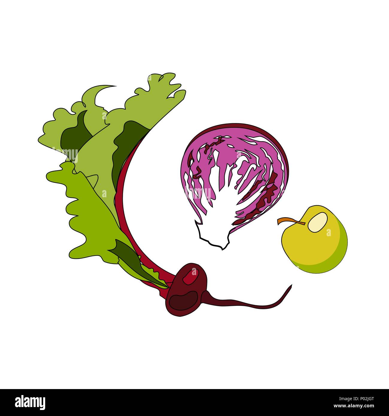 Illustration de légumes et fruits pour les icônes et symboles. Le chou, le radis et pomme Illustration de Vecteur