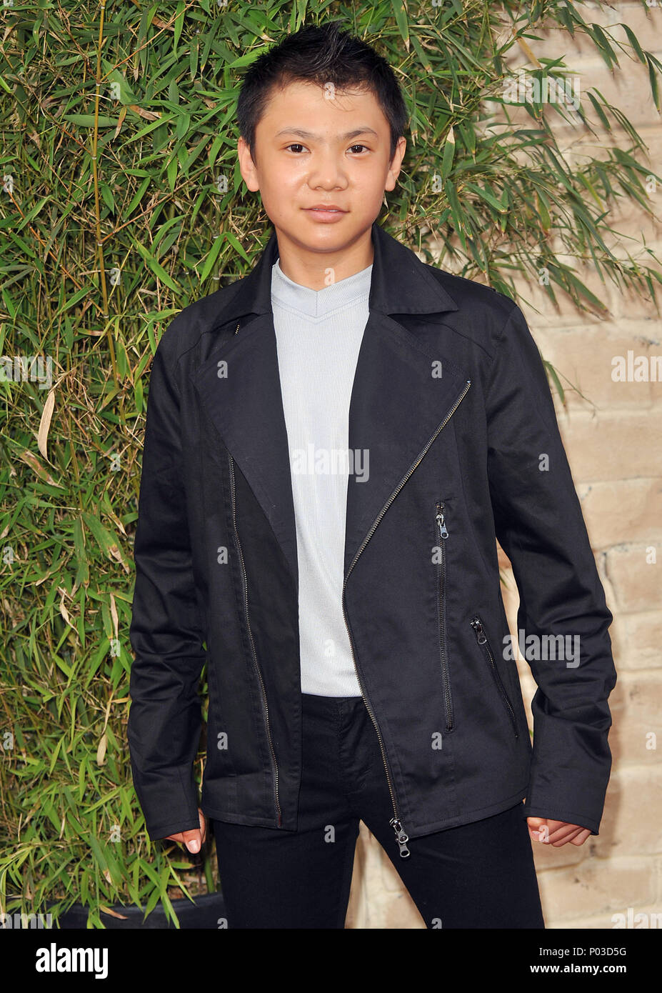 09   09 Zhenwei Wang - l'avant-première de Karaté Kid au Westwood Village Theatre de Los Angeles.09   09 Zhenwei Wang Red Carpet Event, Vertical, USA, Cinéma, Célébrités, photographie, Bestof, Arts, Culture et divertissement, Célébrités Topix fashion / Vertical, Best of, événement dans la vie d'Hollywood, Californie - Tapis rouge et en backstage, USA, Cinéma, Célébrités, cinéma, télévision, Célébrités célébrités musique, photographie, Arts et culture, Bestof, divertissement, Topix, vertical, une seule personne, à partir de l'année 2010, enquête tsuni@Gamma-USA.com - trois quarts Banque D'Images