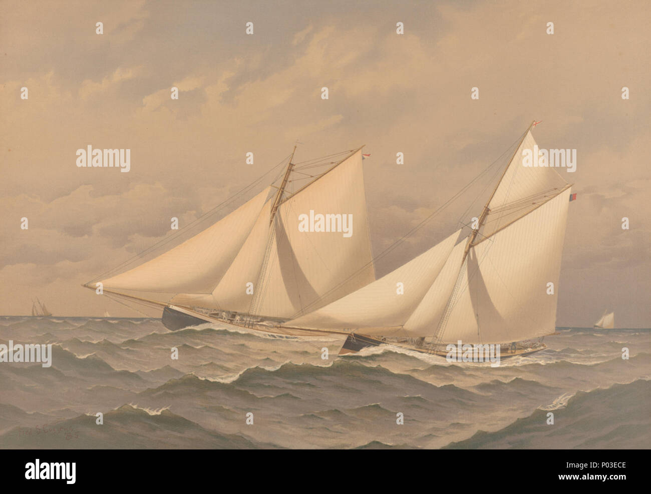PY8802 . 1885. Cozzens, Frederic S (artiste) ; Scribner's, Charles et fils (éditeurs) ; Sir W.G. Armstrong Whitworth et Co. Ltd (imprimantes) 283 Yachts américains. Plaque supplémentaire. Pour l'America's Cup - 1885 - Près de l'arrivée, puritain Genesta RMG PY8802 Banque D'Images