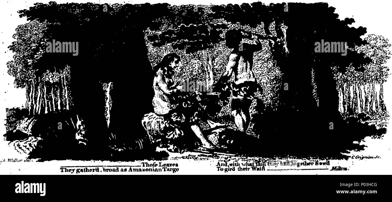 . Anglais : Fleuron du livre : une collection de robes de différentes nations, antient et moderne. En particulier les anciennes robes. Après les dessins de Holbein, Vandyke, Hollar, et d'autres. Avec un compte de la part des autorités, ... et quelques courtes remarques historiques ... À laquelle sont ajoutés les habitudes des personnages principaux sur la scène anglaise. ... 48 Une collection des robes de différentes nations, et antient Fleuron moderne T088921-2 Banque D'Images