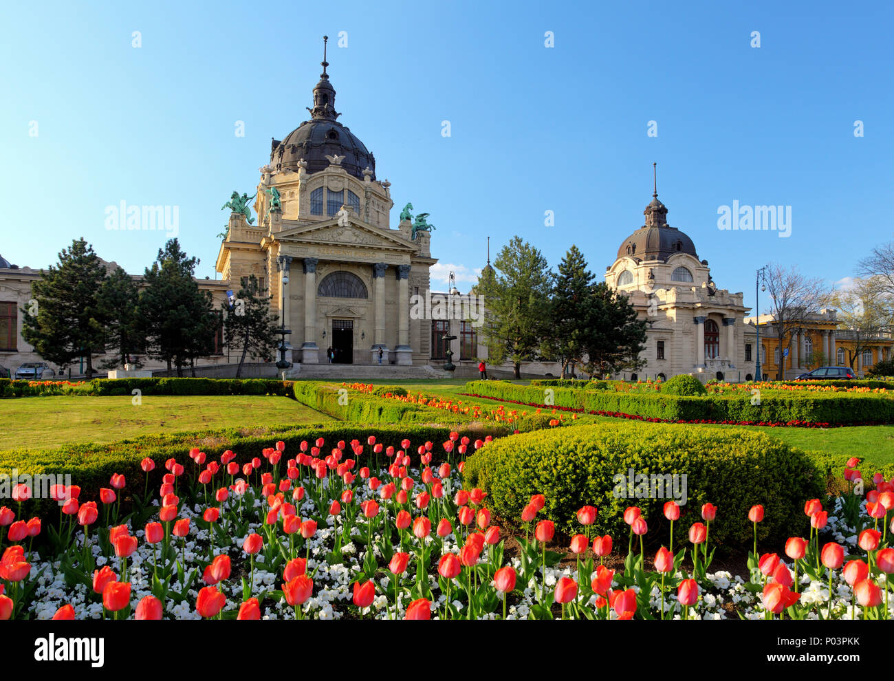 Spa Szechenyi avec fleur - Budapest, Hongrie Banque D'Images