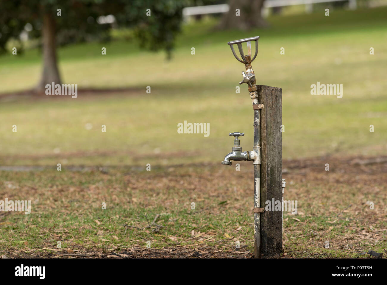 Un chrome et blanc de l'eau potable ou peint bubbler fontaine dans un parc de Sydney avec un robinet en dessous. Banque D'Images